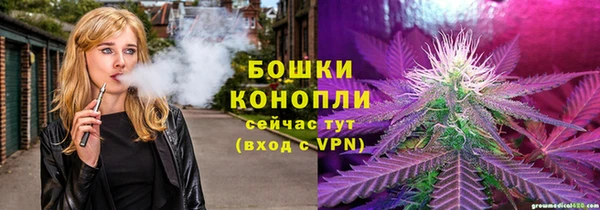 ГАЛЛЮЦИНОГЕННЫЕ ГРИБЫ Алексеевка