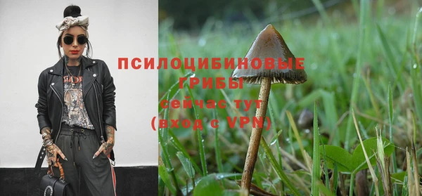 a pvp Алексин